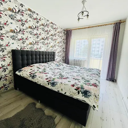 Mt Apartment *